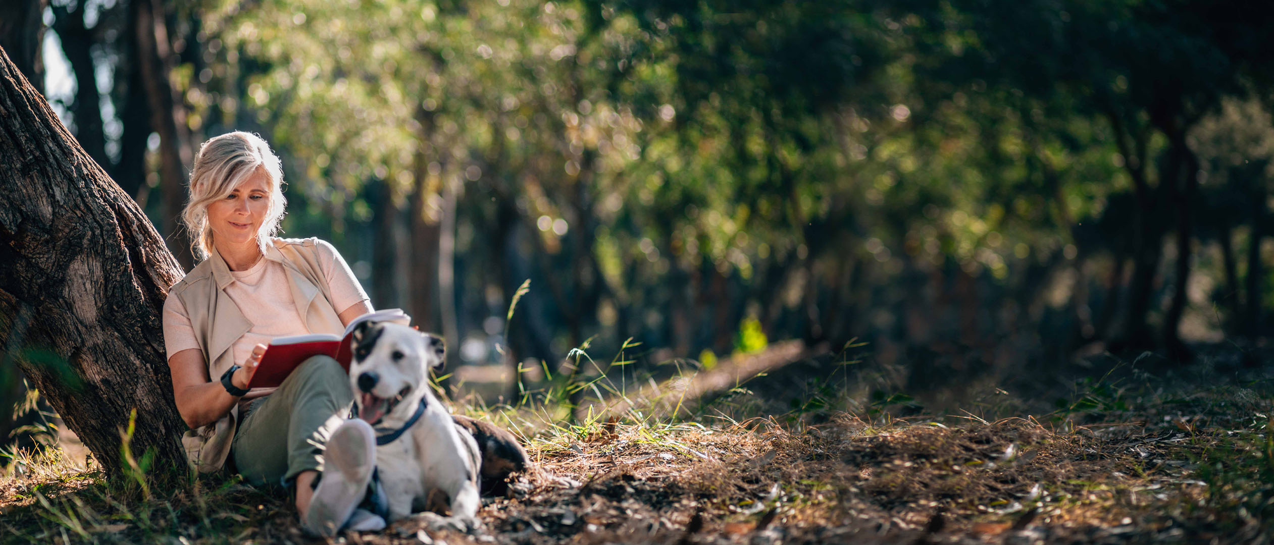 una mujer sentada en el bosque con un perro