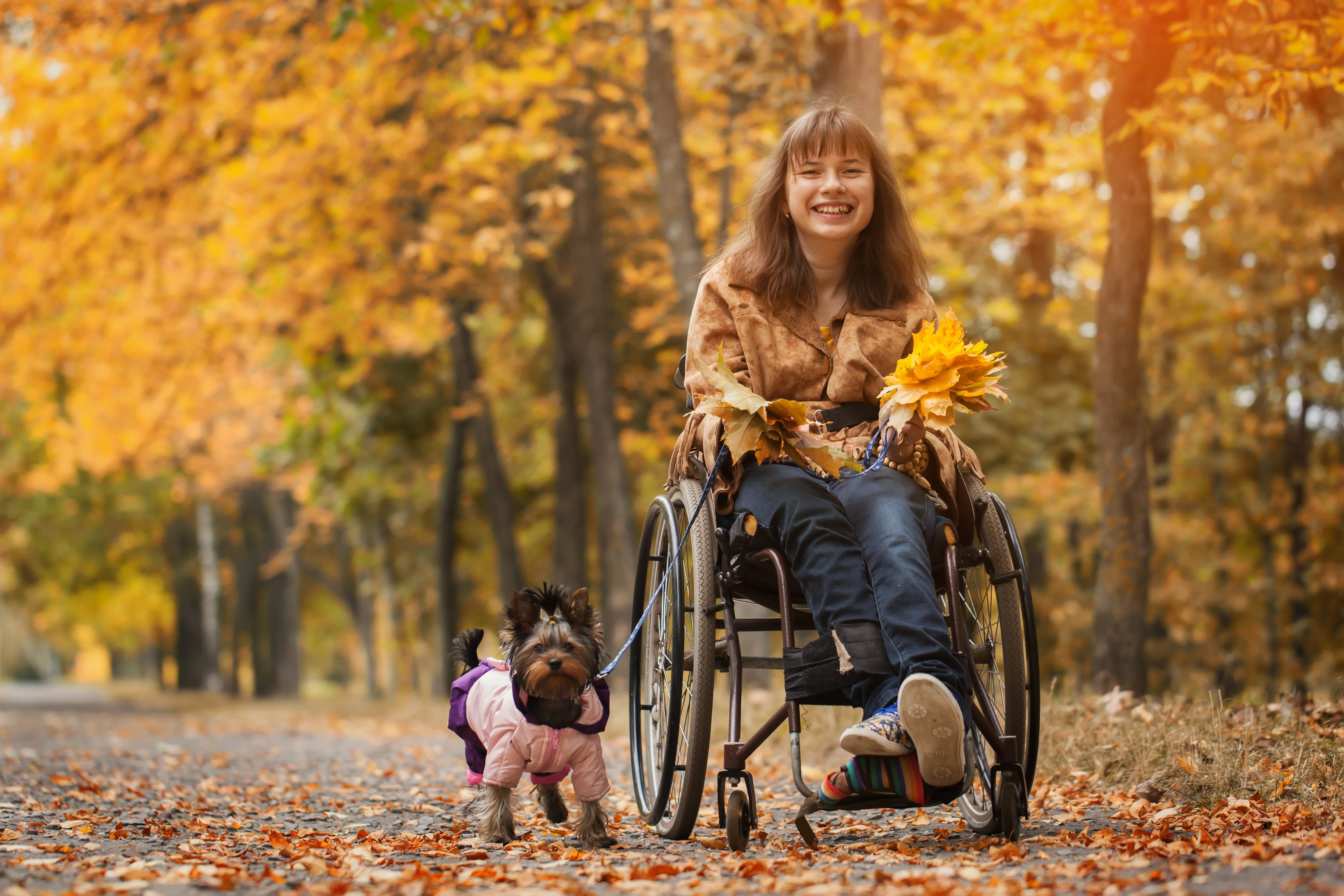 una donna su una sedia a rotelle con un cane in un parco