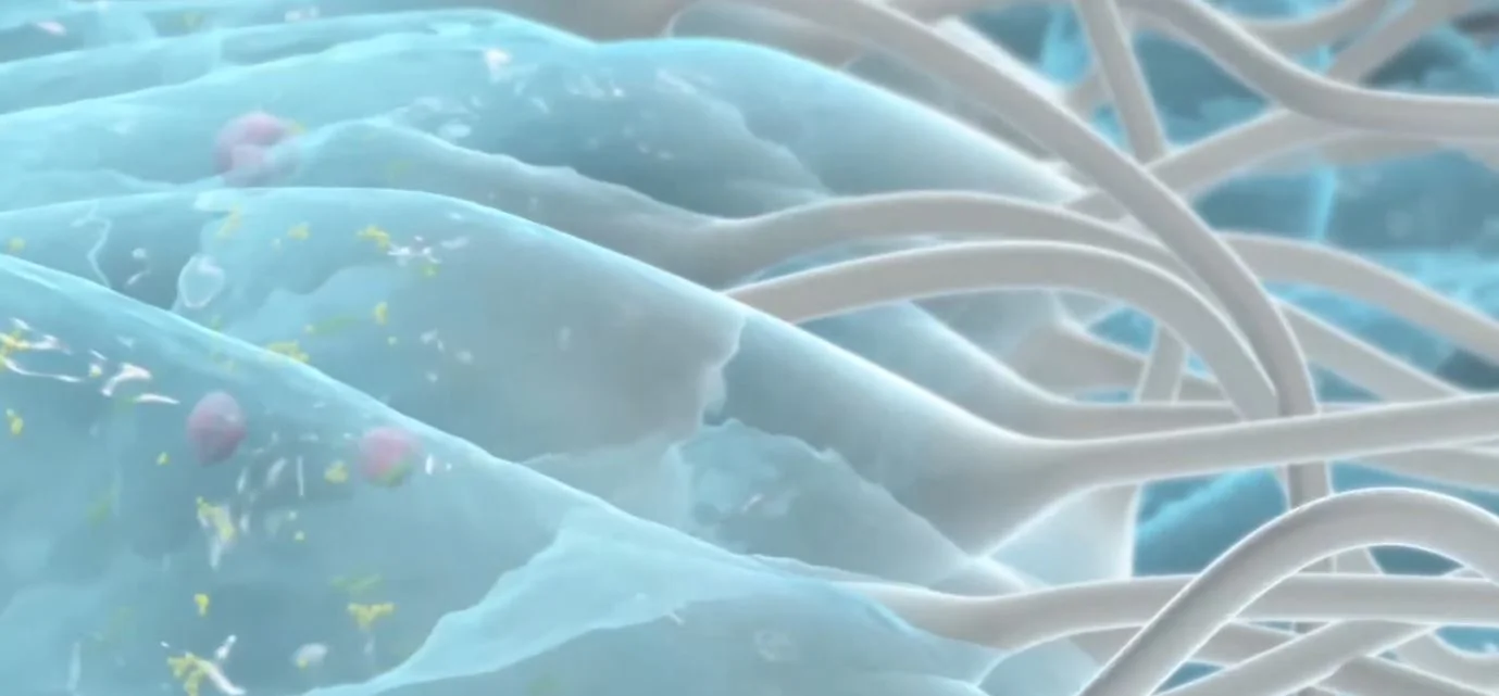 Hydrofiber