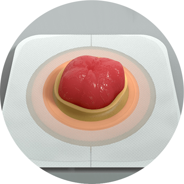 a plate with food on it